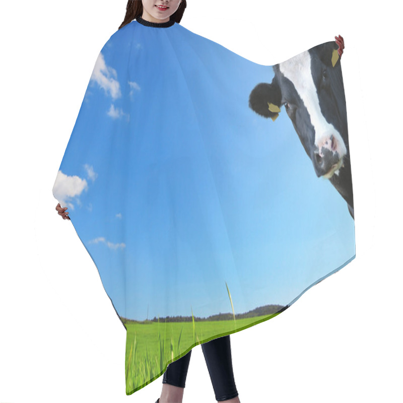 Personality  Cow Looks With A Background Of A Green Meadow And A Blue Sky Hair Cutting Cape