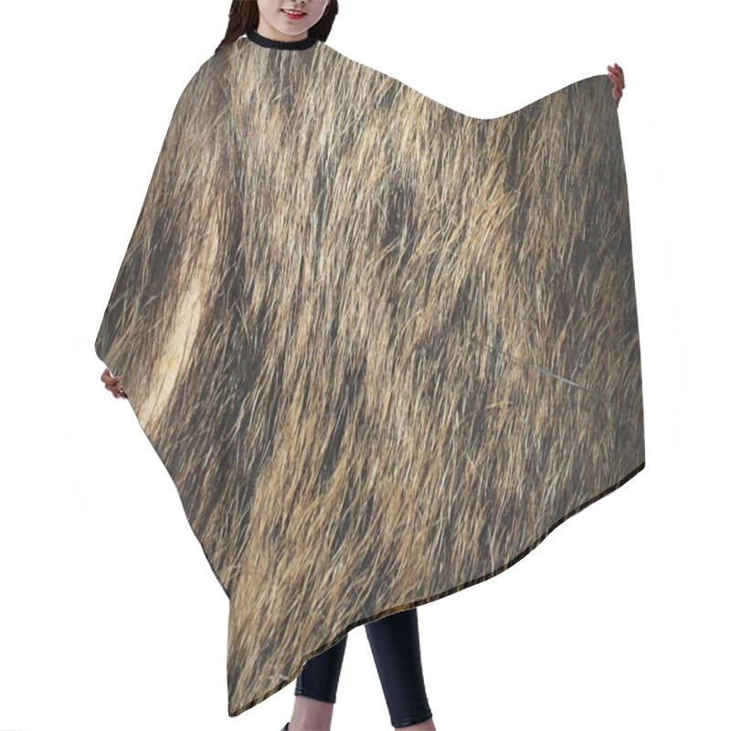 Personality  Beautiful Texture Of Wild Boar Fur Hair Cutting Cape