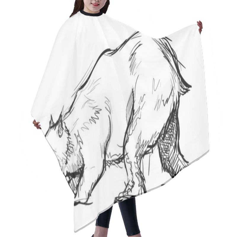 Personality  Bear Big Furry Beast Hand Drawn Sketches White Isolated Background Hair Cutting Cape