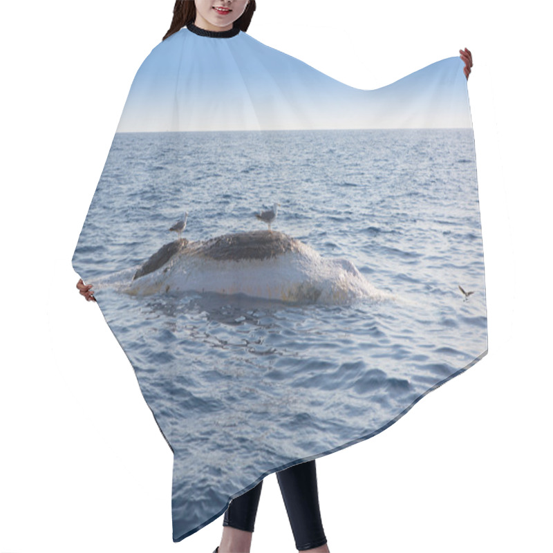 Personality  Dead Whale Upside Down Floating In Ocean Sea Hair Cutting Cape