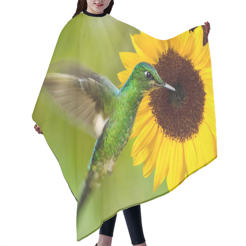 Personality  Hummingbird Feeding From Sunflower Hair Cutting Cape