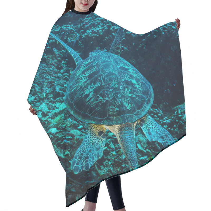 Personality  Underwater View Of Turtle In Komodo National Park Hair Cutting Cape