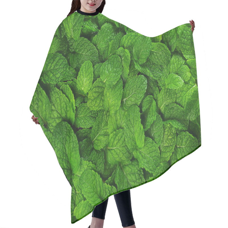 Personality  Mint Leaves Background. Hair Cutting Cape