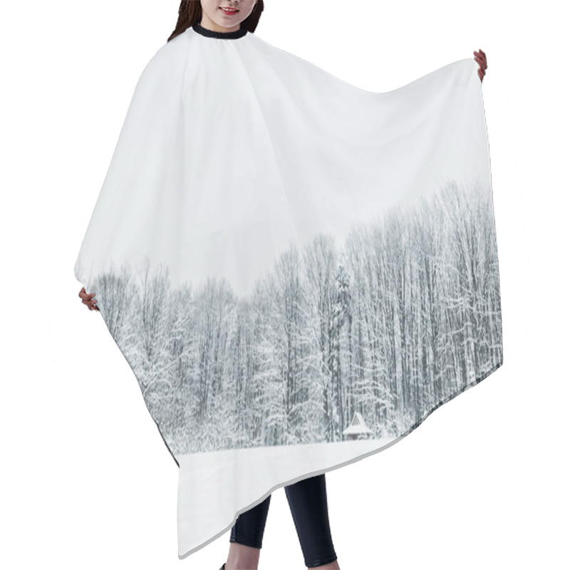 Personality  Landscape Of Snowy Carpathian Mountains And Forest In Winter Hair Cutting Cape