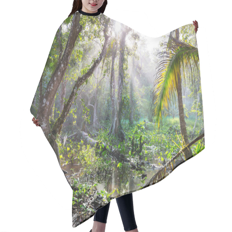 Personality  Jungle In Hawaii Nature Recreation Hair Cutting Cape