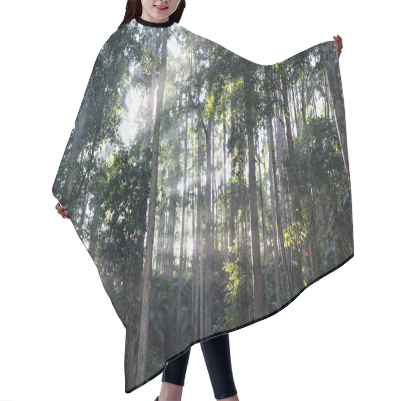 Personality  Sunrise In Malaysian Jungles Hair Cutting Cape