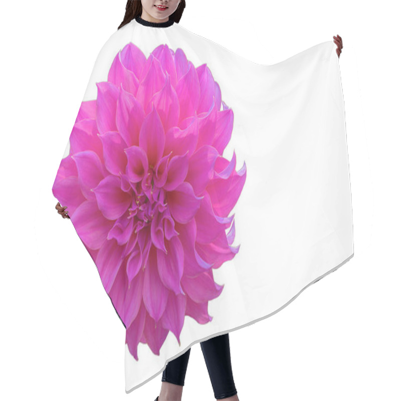 Personality  Single Pink Dahlia Flower, Dahlia Isolated On White Background For Design. Hair Cutting Cape