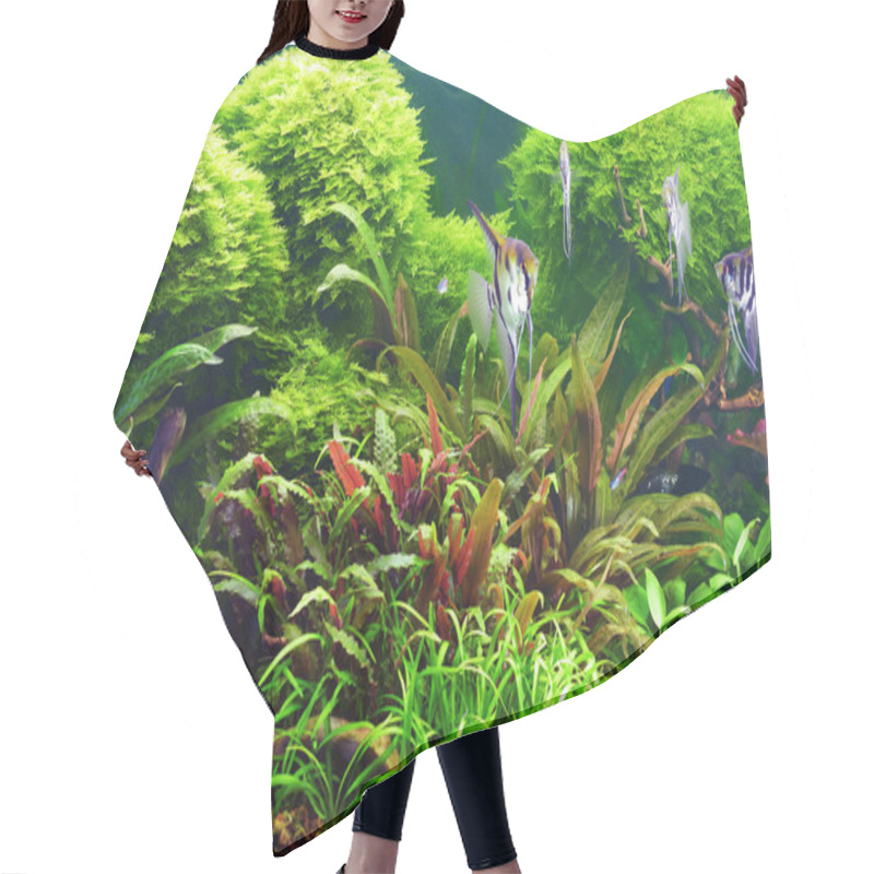 Personality  Decorative Aquarium Hair Cutting Cape