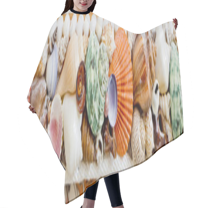 Personality  Collection Of Sea Shells Hair Cutting Cape