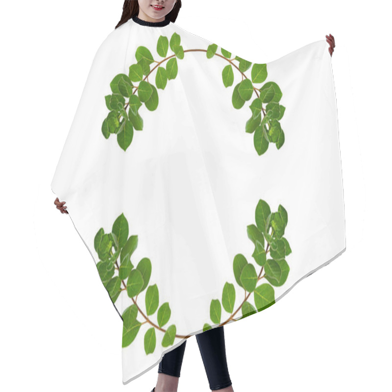 Personality  Leaf Vine Circle Isolates On A White Background Hair Cutting Cape