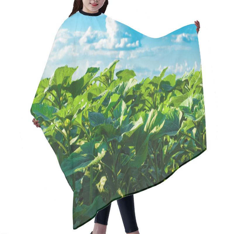 Personality  Green Field Hair Cutting Cape