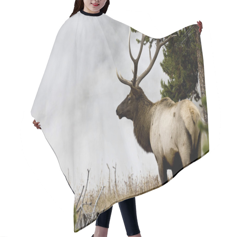 Personality  Misty Morning Bull Elk Hair Cutting Cape