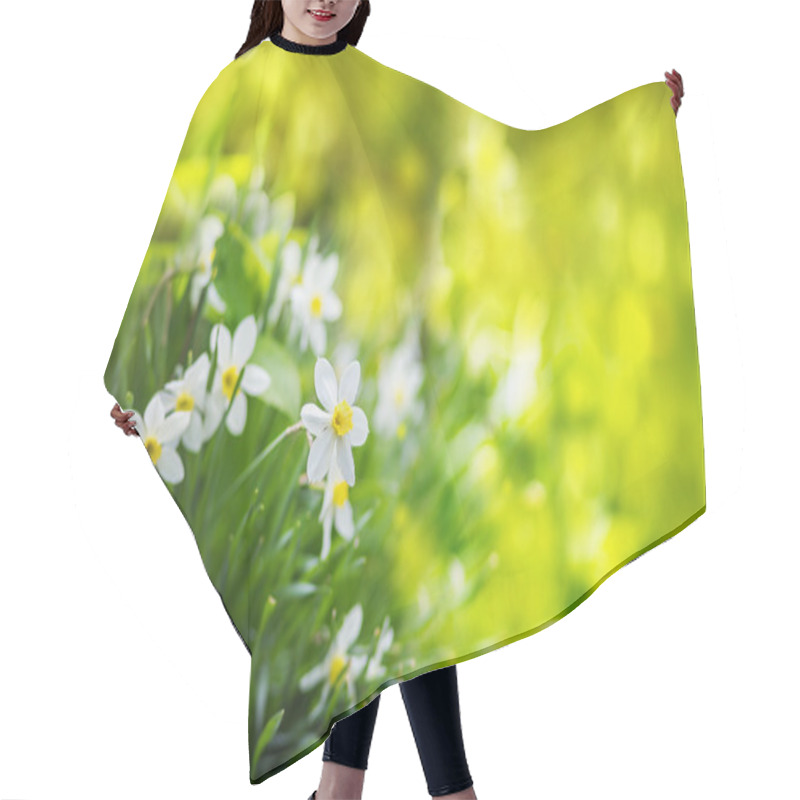 Personality  White Narcissus Flowers, Summer Background. Hair Cutting Cape