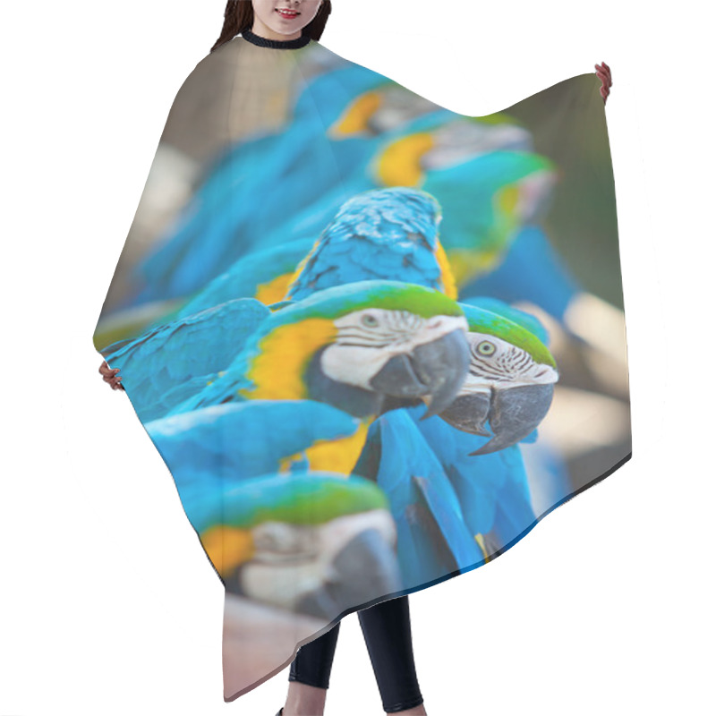 Personality  Scarlet Macaws Hair Cutting Cape