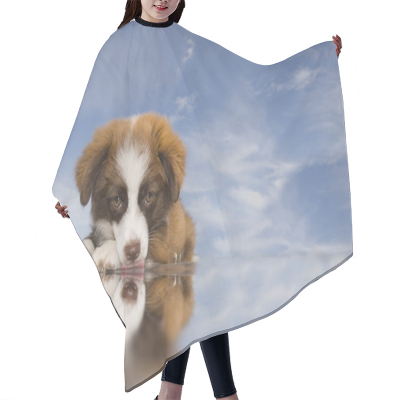 Personality  Puppy Dog Blue Sky Background Hair Cutting Cape