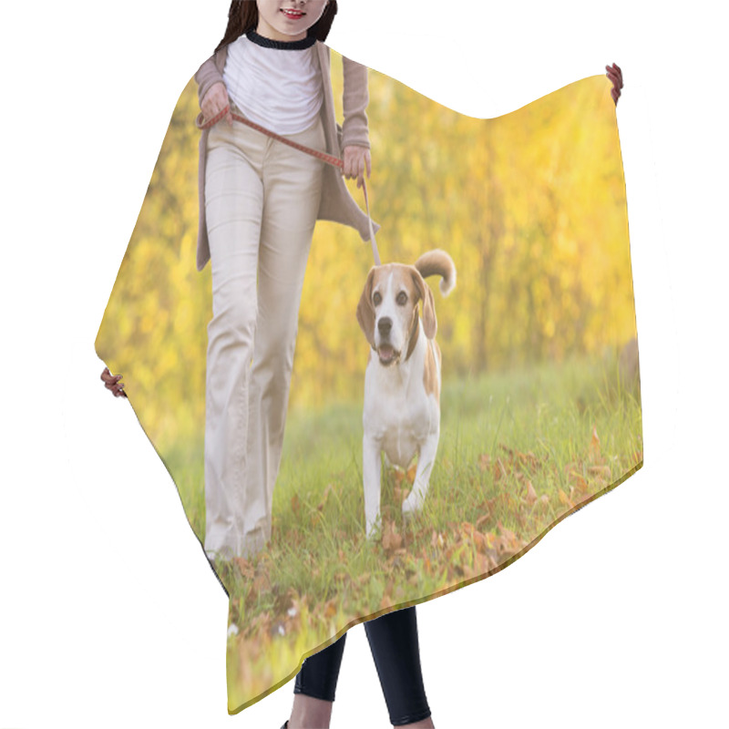 Personality  Dog Walk Hair Cutting Cape