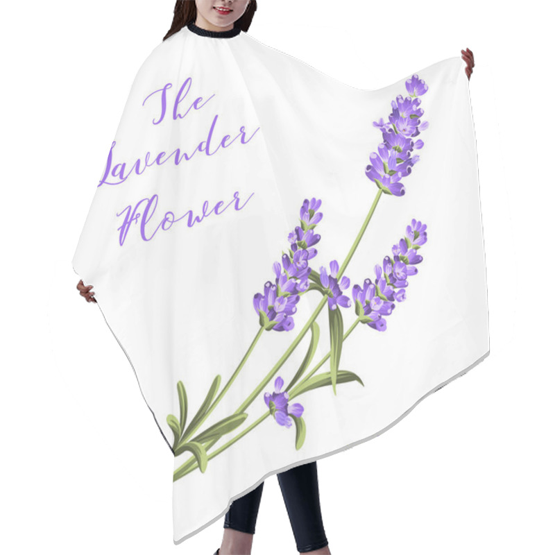 Personality  Bunch Of Lavender Flowers On A White Background. Vector Illustration. Hair Cutting Cape