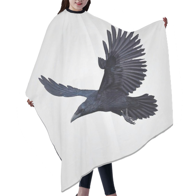 Personality  Black Bird Flying Over White Isolated Hair Cutting Cape