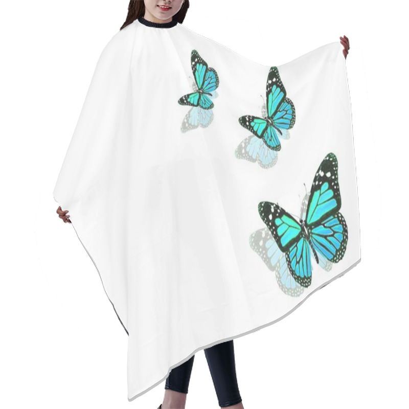 Personality  Beautiful Blue Butterflies Hair Cutting Cape