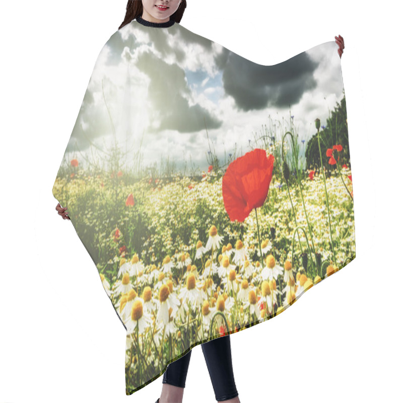 Personality  Red Poppies And Daisies On Summer Field Hair Cutting Cape