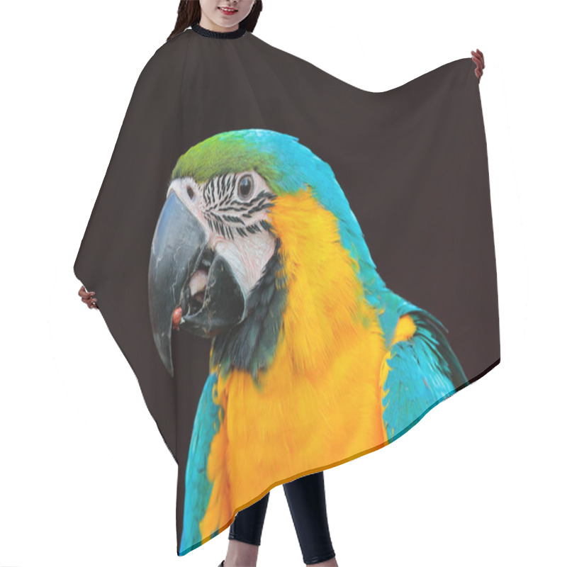 Personality  Wildlife Scene With Parrot Hair Cutting Cape