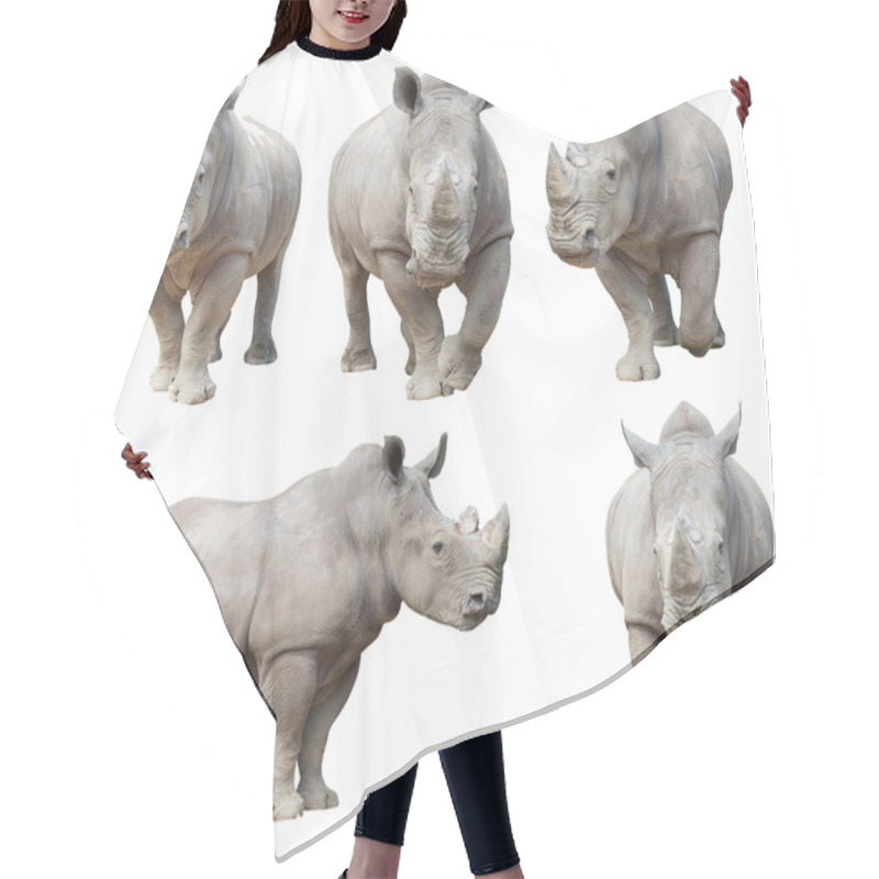 Personality  White Rhinoceros, Square-lipped Rhinoceros Isolated  Hair Cutting Cape