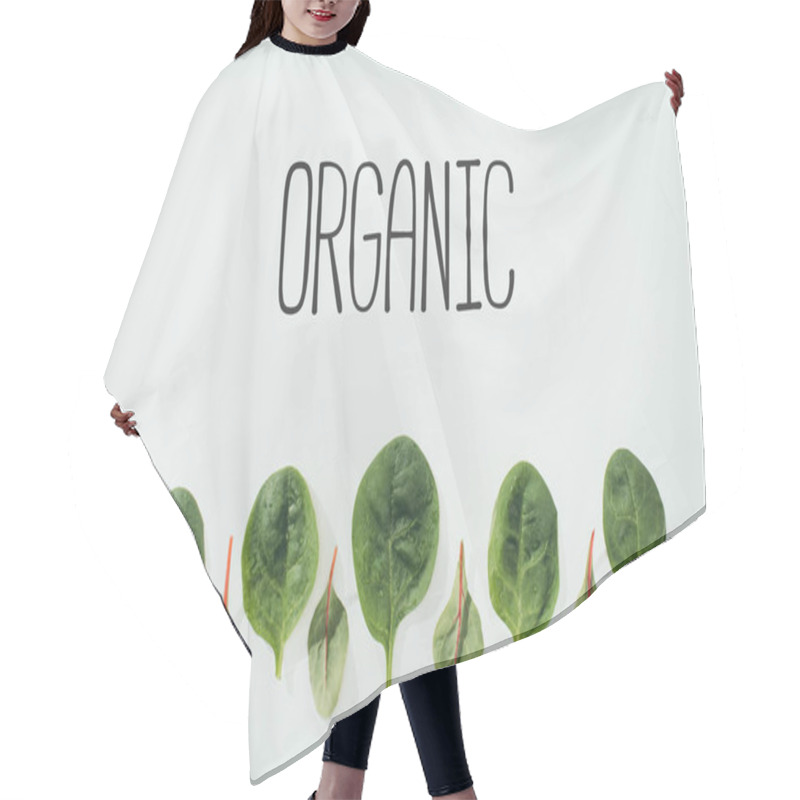 Personality  Beautiful Green Leaves And Inscription Organic On Grey Hair Cutting Cape