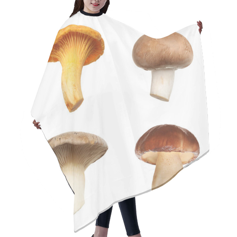 Personality  Set Of Different Fresh Mushrooms On White Background Hair Cutting Cape