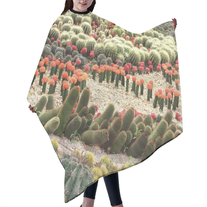 Personality  Different Cactuses In Open Space Hair Cutting Cape