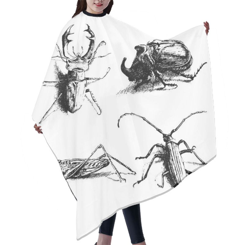 Personality  Black And White Illustration With Different Bugs             Hair Cutting Cape