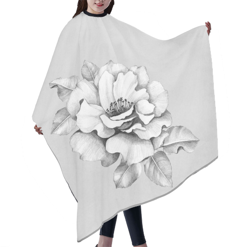 Personality  Pencil Drawing Of Rose Hair Cutting Cape