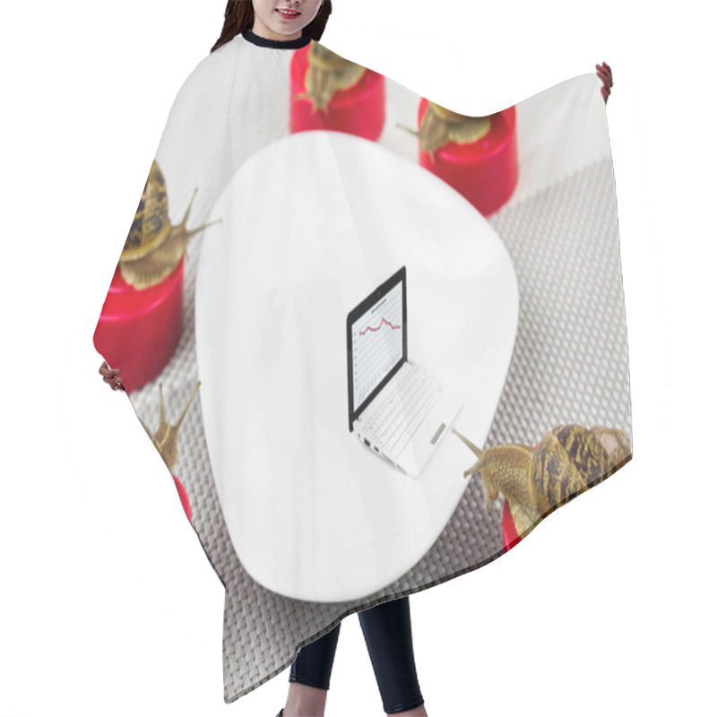 Personality  Snail Business Meeting Metaphor With Bad Results Hair Cutting Cape