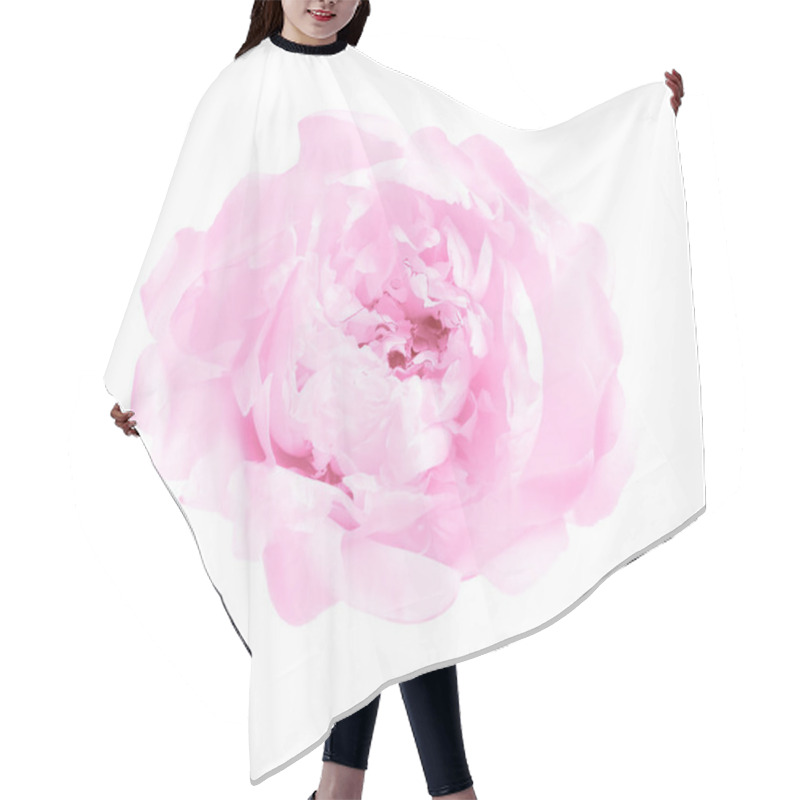 Personality  Beautiful Pink Peony Flower On White Background, Top View Hair Cutting Cape