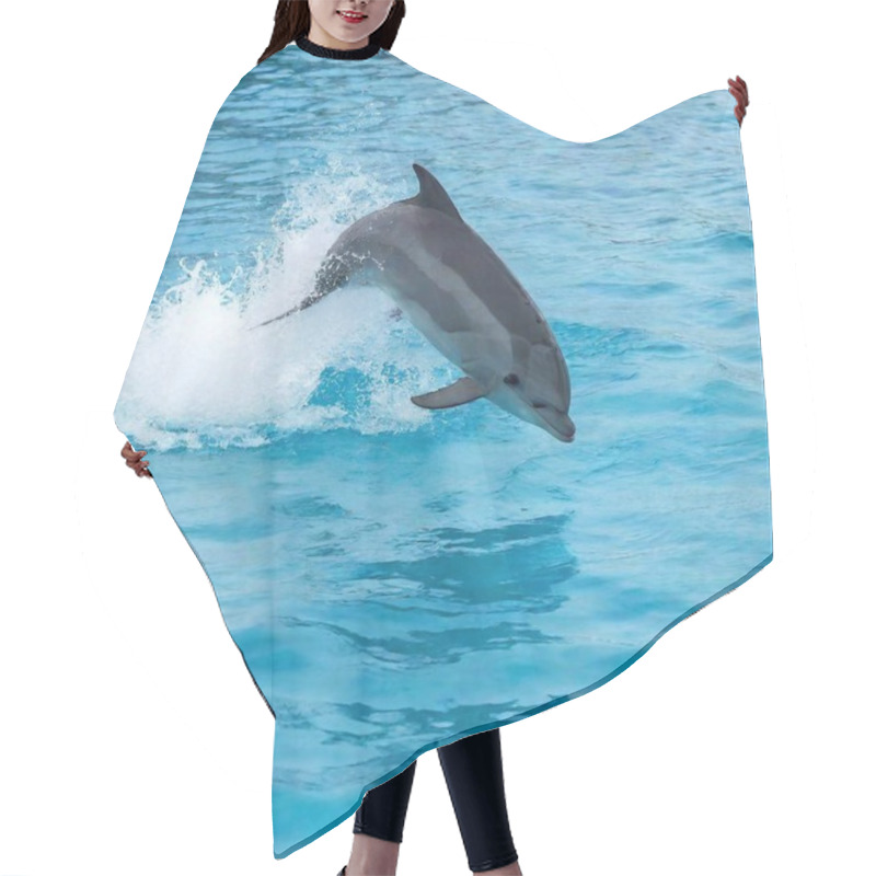 Personality  Dolphin Swimming In The Sea Hair Cutting Cape