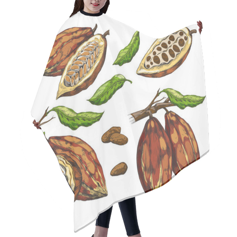 Personality  Realistic Set Of Cocoa With Unripe, Ripe Pods, Cut And Whole, Vector Illustration Hair Cutting Cape