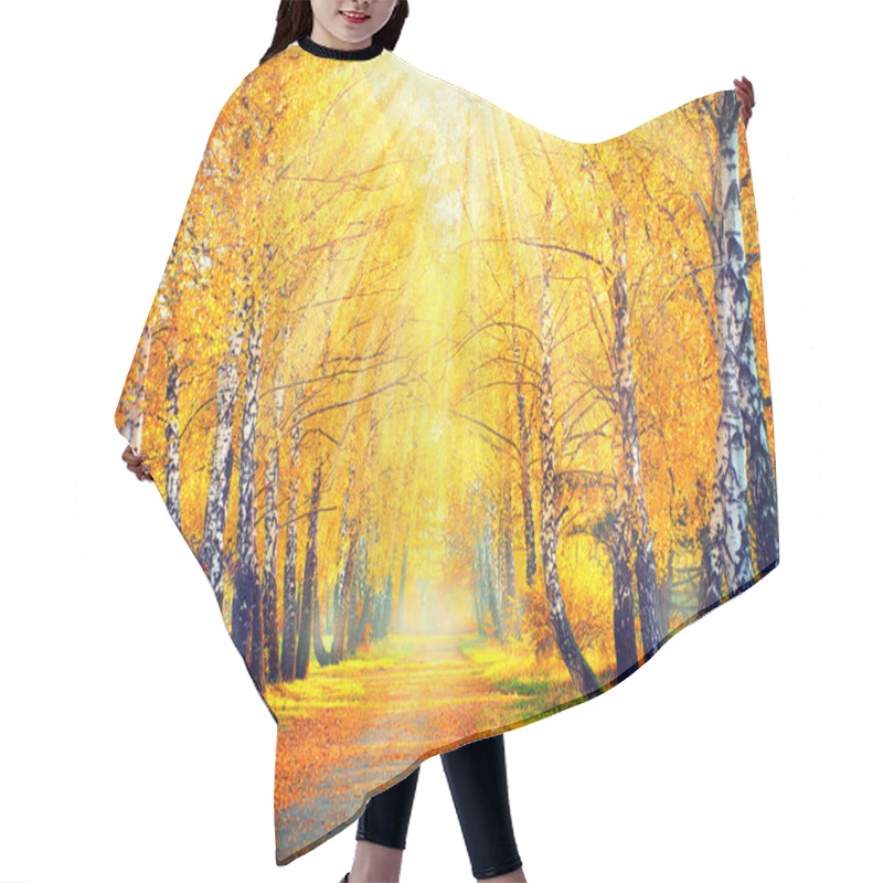 Personality  Autumn Trees  In Sun Rays Hair Cutting Cape