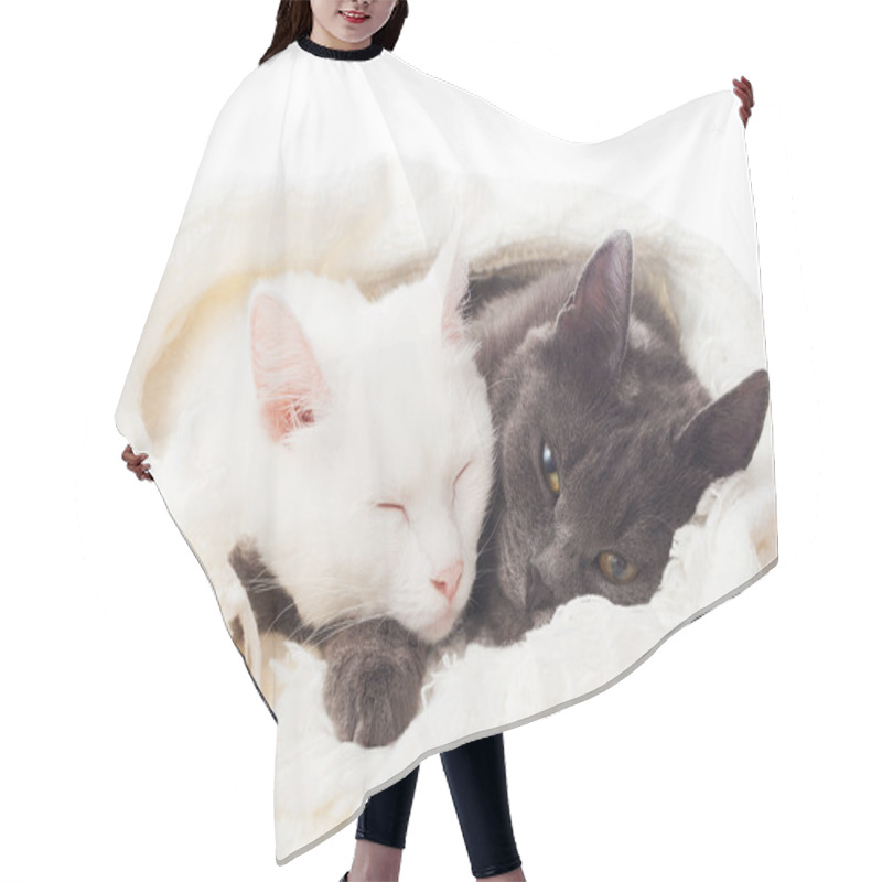 Personality  Cats Lying On A White Veil  Hair Cutting Cape