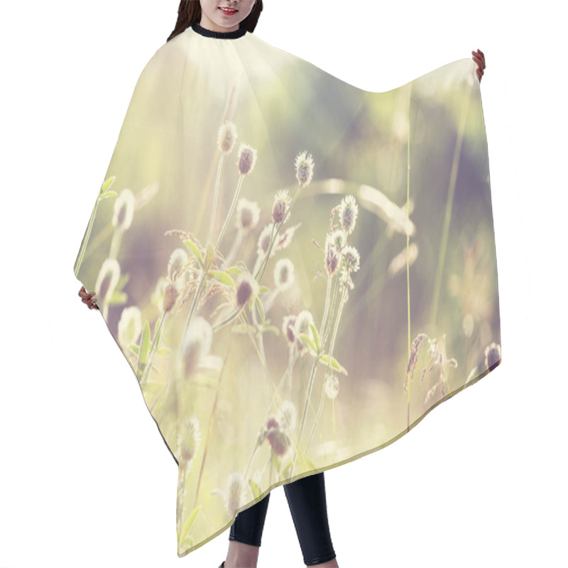 Personality  Sunny Day On The Flowers Meadow. Beautiful Natural Background. Hair Cutting Cape