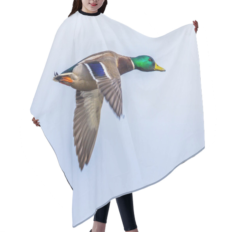 Personality  Flying Male Mallard Duck Hair Cutting Cape