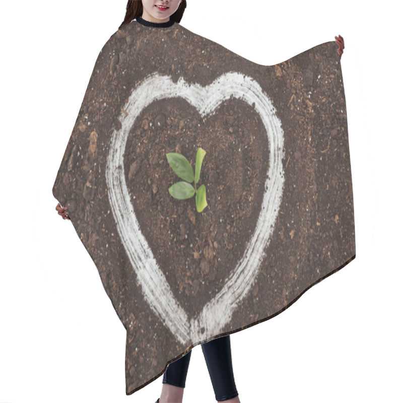 Personality  Top View Of Small Plant With Green Leaves Inside Of Heart Shape Drawing, Protecting Nature Concept  Hair Cutting Cape