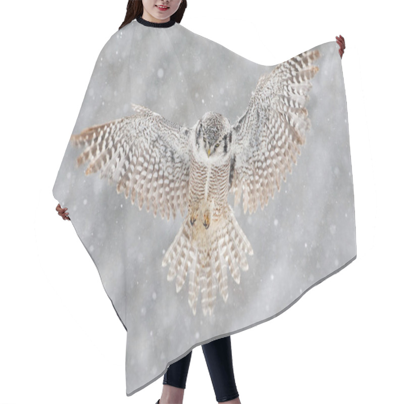 Personality  Hawk Owl In Winter Forest Hair Cutting Cape