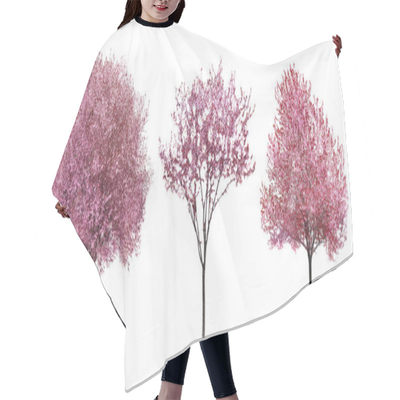 Personality  Beautiful Blossoming Trees On White Background Hair Cutting Cape