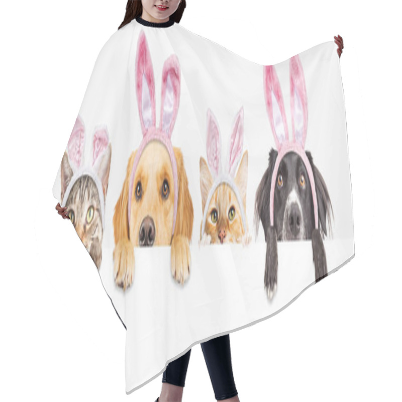 Personality  Row Of Cute Dogs And Cats Looking Over A Blank White, Web Banner Wearing Easter Bunny Ears Hair Cutting Cape