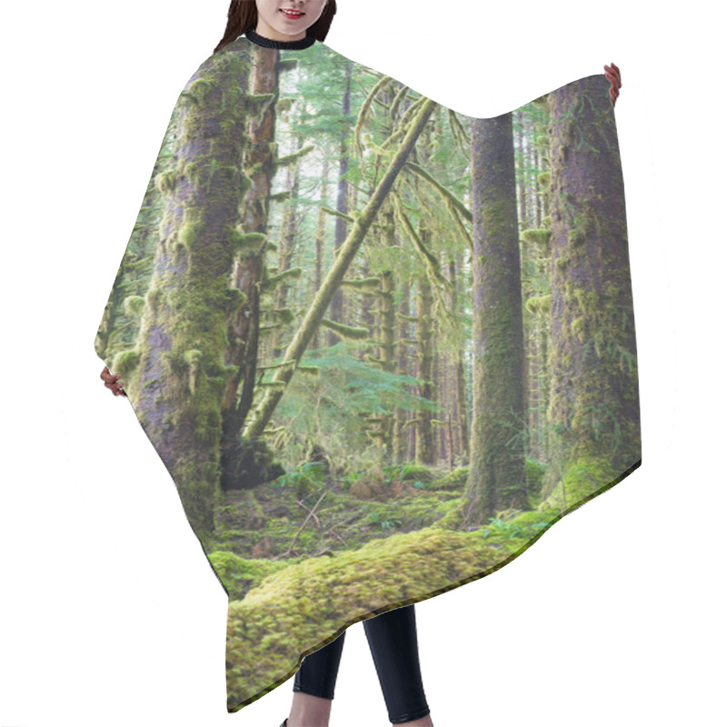 Personality  Cedar Trees Deep Forest Green Moss Covered Growth Hoh Rainforest Hair Cutting Cape