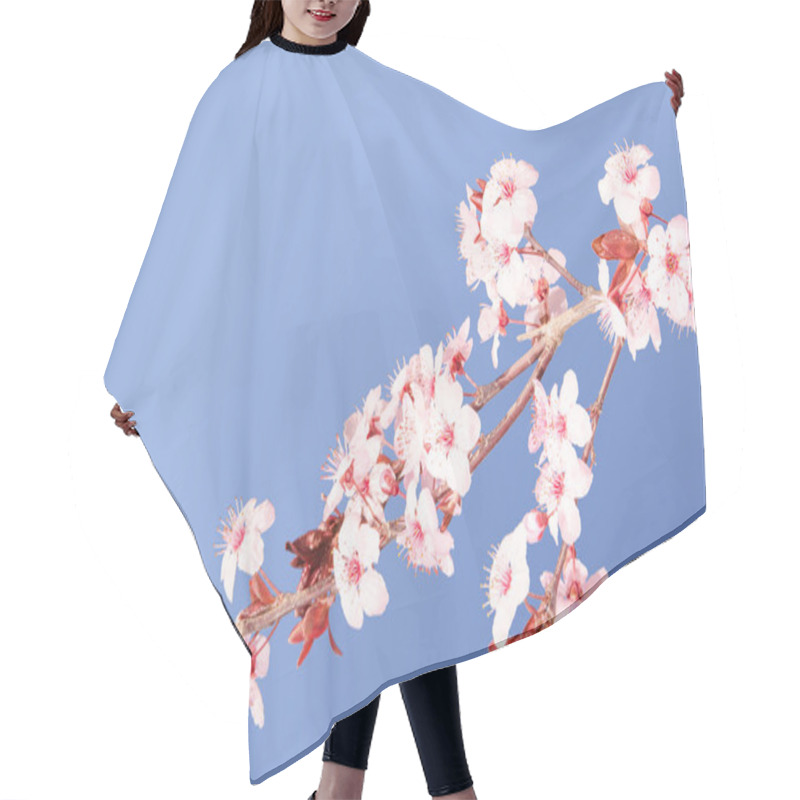 Personality  Sakura Pink Japanese Cherry Blossom Branch Hair Cutting Cape