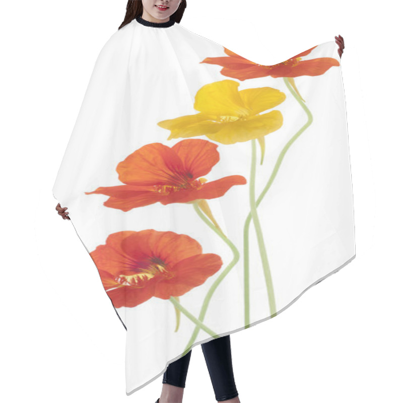 Personality  Nasturtium Hair Cutting Cape