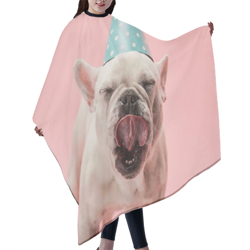 Personality  French Bulldog In Blue Birthday Cap With Closed Eyes On Pink Background Hair Cutting Cape