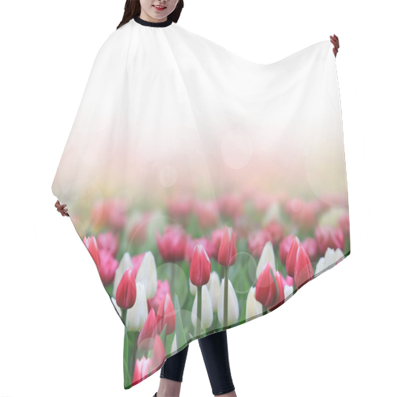 Personality  Beautiful Tulips Background Hair Cutting Cape