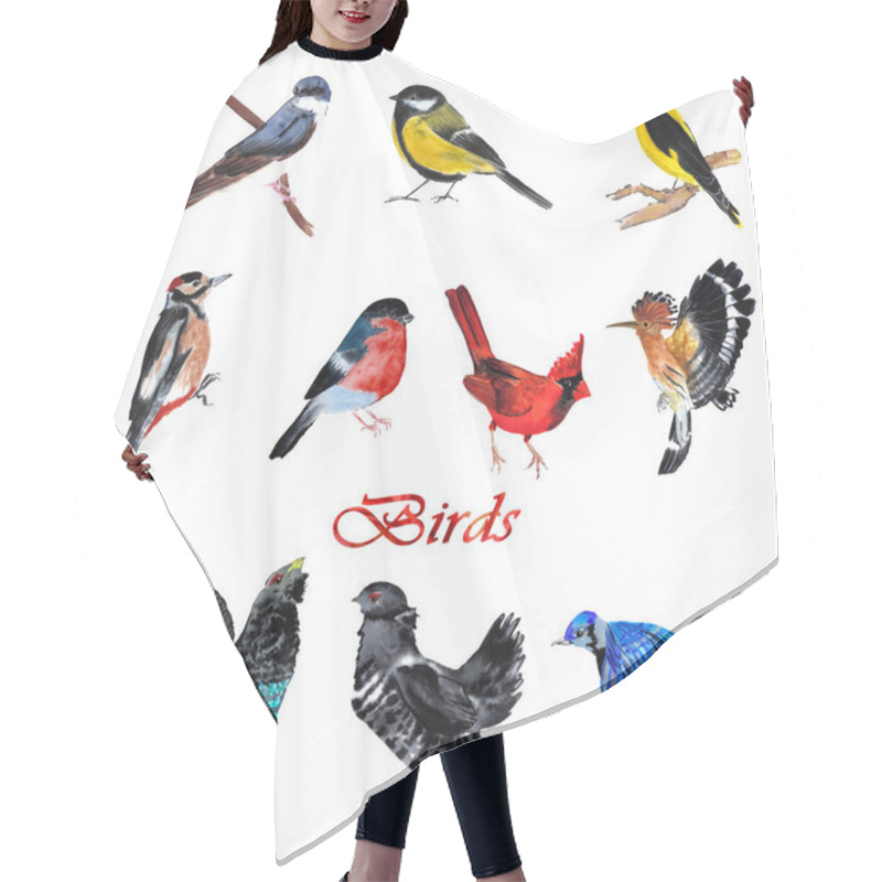 Personality  Set Of Birds: Swallow, Cardinal, Capercaillie, Black Grouse, Tit Hair Cutting Cape