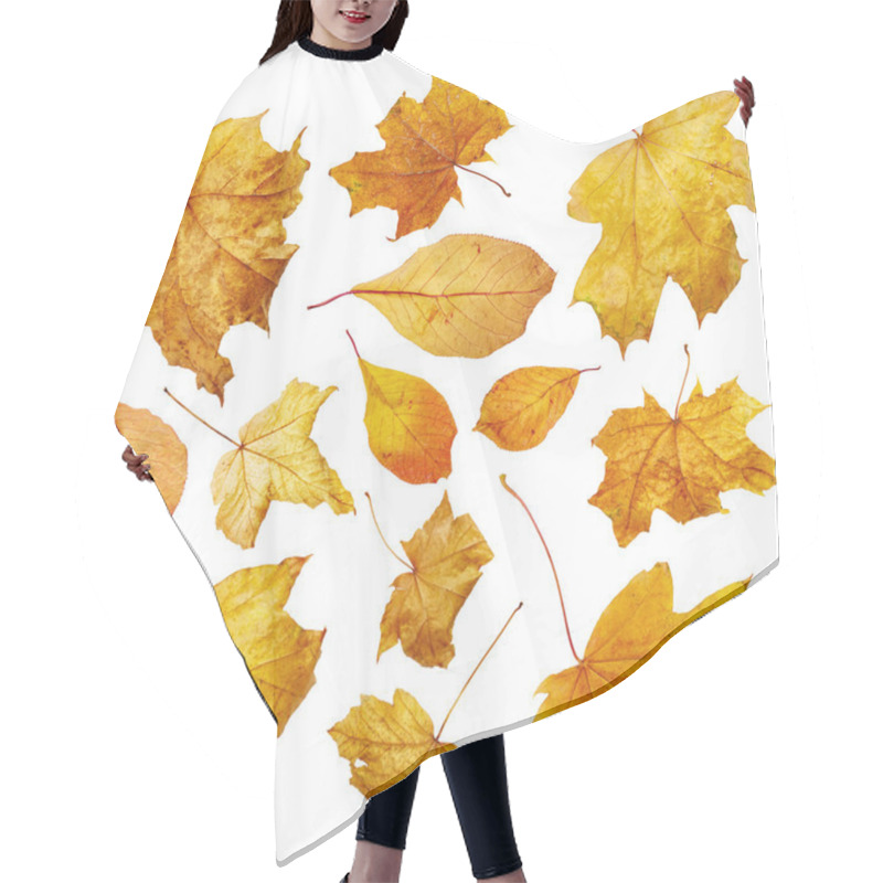 Personality  Autumn Leaves. Set Hair Cutting Cape